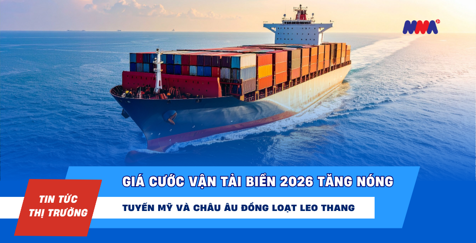 gia-cuoc-van-tai-bien